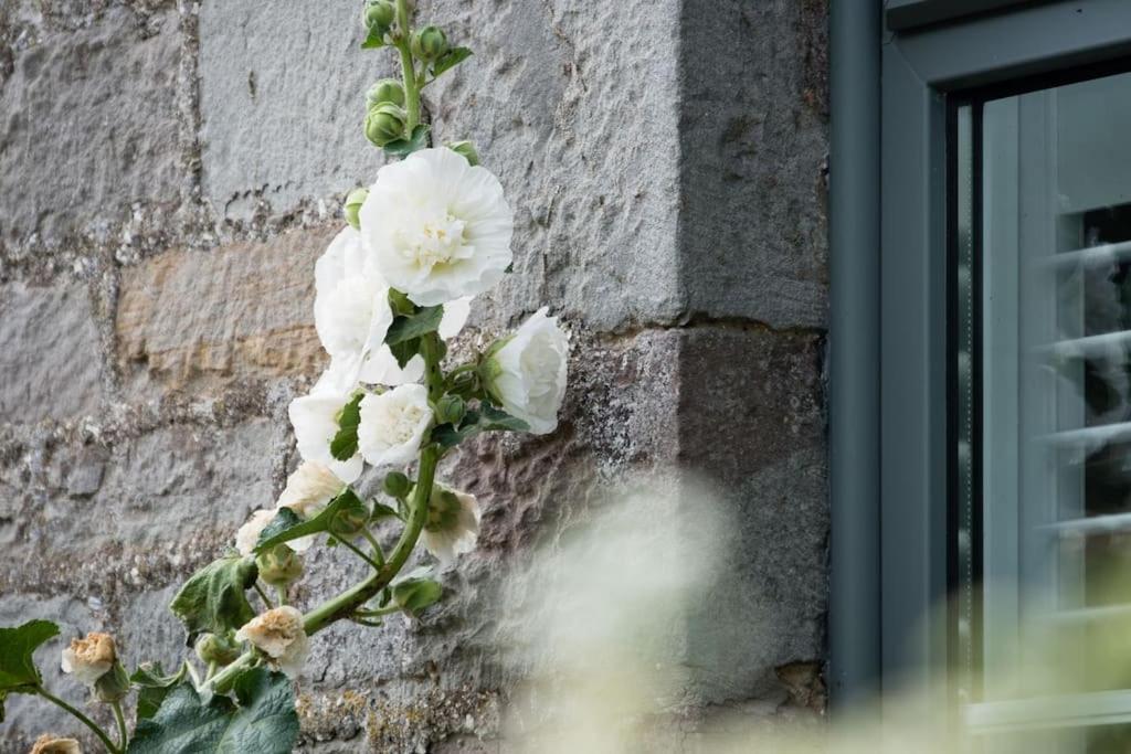 Luxury Cottage Near Hay-On-Wye Llanigon Екстер'єр фото